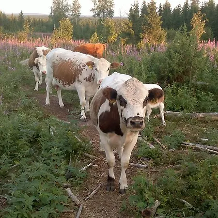 Tervamaeki Κατάλυμα σε φάρμα Tervajarvi