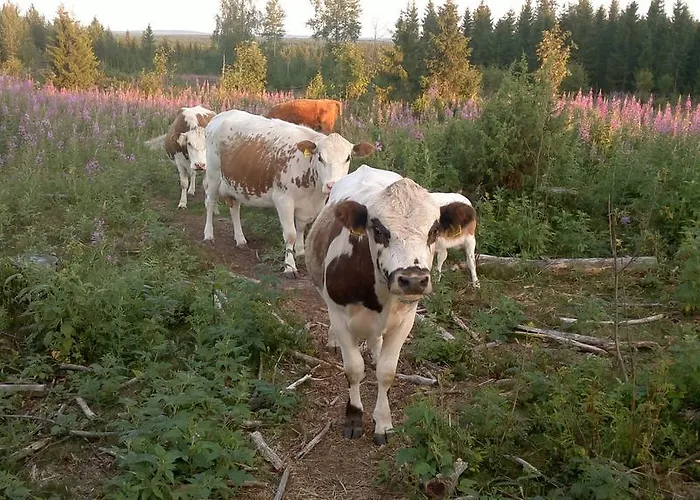Tervamaeki Çiftlik konaklama Tervajarvi